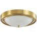 Настенно-потолочный светильник Lumion Nina 5259/2C