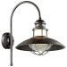 Уличный настенный светильник Odeon Light Dante 4164/1WA