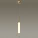 Подвесной светодиодный светильник Odeon Light Reeds 4794/12L