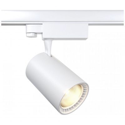 Трековый светильник Maytoni TR029-3-20W3K-M-W