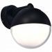 Уличный настенный светильник ST Luce SL9000.401.01