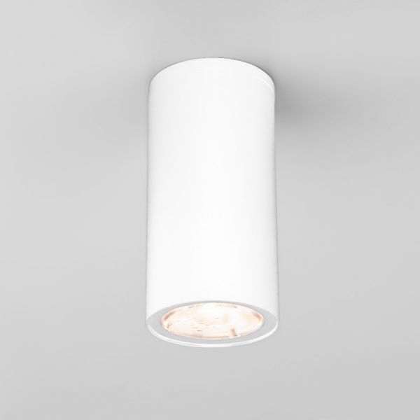Уличный потолочный светильник Light LED 2102 IP65 Elektrostandard 35129/H белый