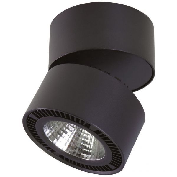 Светодиодный спот Lightstar 214817 Forte Muro