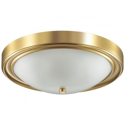 Настенно-потолочный светильник Lumion Nina 5259/3C