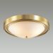 Настенно-потолочный светильник Lumion Nina 5259/3C