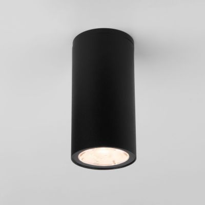 Уличный потолочный светильник Light LED 2102 IP65 Elektrostandard 35129/H черный