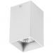 Потолочный светильник Lightstar 216336 Rullo