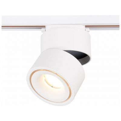 Трековый светодиодный светильник ST Luce ST652.546.12