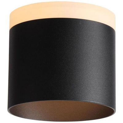 Светильник потолочный ST Luce ST102.402.12