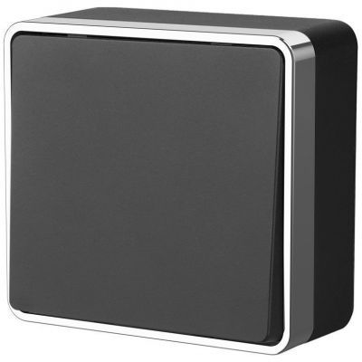 Выключатель одноклавишный проходной Gallant Werkel W5012035 черный с серебром (WL15-01-03)