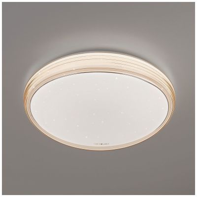 Светодиодный потолочный светильник Eurosvet 40008/1 LED кофе