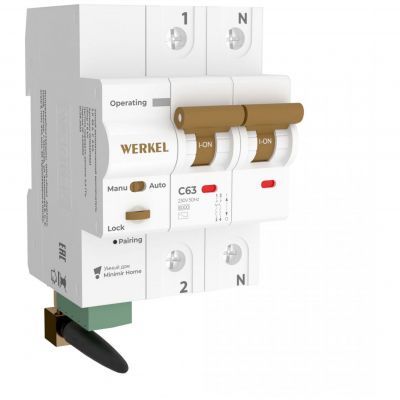 Умный автоматический выключатель 2 P 63 A C 6 kA W1002P6301 Werkel