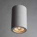 Светильник точечный Arte Lamp A9260PL-1WH