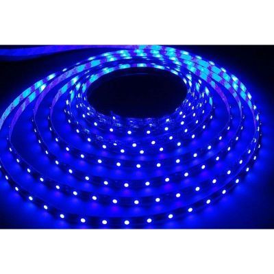 Лента светодиодная Smartbuy SMD 2835/60 Smartbuy-IP20-4.8W/Blue (SBL-IP20-4_8-Bl)