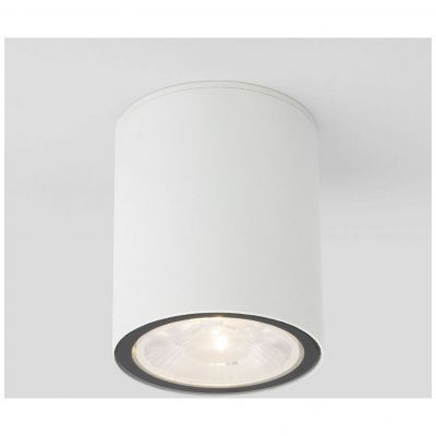 Уличный потолочный светильник Light LED 2103 IP65 Elektrostandard 35131/H белый
