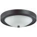 Настенно-потолочный светильник Lumion Nina 5260/2C