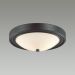 Настенно-потолочный светильник Lumion Nina 5260/2C