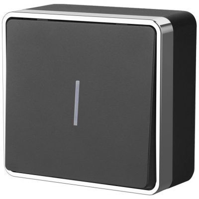 Выключатель одноклавишный с подсветкой Gallant Werkel W5010135 черный с серебром (WL15-01-04)