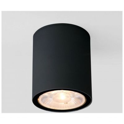 Уличный потолочный светильник Light LED 2103 IP65 Elektrostandard 35131/H черный