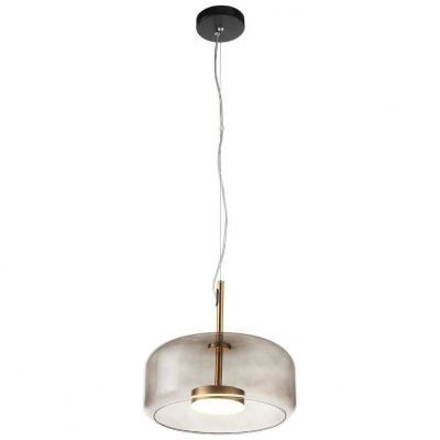 Светильник подвесной ST Luce SL1053.243.01