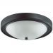 Настенно-потолочный светильник Lumion Nina 5260/3C