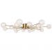 Потолочная люстра Freya Celebrity FR5242CL-16BS1
