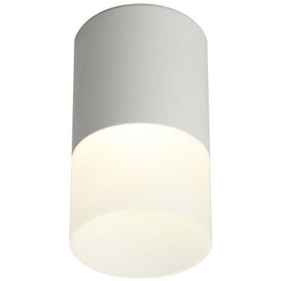 Потолочный светодиодный светильник Omnilux Ercolano OML-100009-05