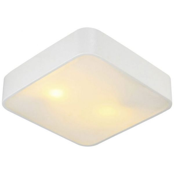 Светильник потолочный Arte Lamp A7210PL-2WH