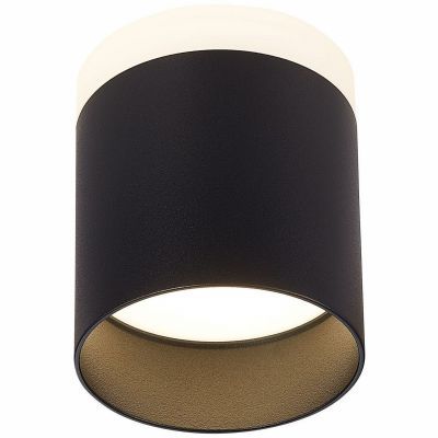 Светильник потолочный ST Luce ST102.442.12