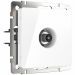 Розетка TV Werkel W1183001 белый (WL01-TV)