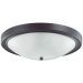 Настенно-потолочный светильник Lumion Nina 5260/4C
