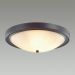 Настенно-потолочный светильник Lumion Nina 5260/4C