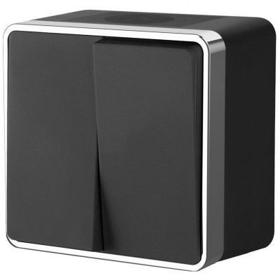 Выключатель двухклавишный влагозащищенный Gallant Werkel W5020235 черный с серебром (WL15-03-02)