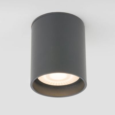 Уличный потолочный светильник Light LED 2104 IP54 Elektrostandard 35130/H серый