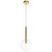 Светильник подвесной ST Luce SL1054.203.01