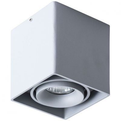 Потолочный светильник Arte Lamp Pictor A5654PL-1GY