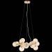 Подвесная люстра ST Luce SL435.203.15