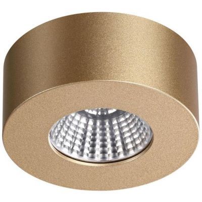 Потолочный светодиодный светильник Odeon Light Bene 4284/7CL