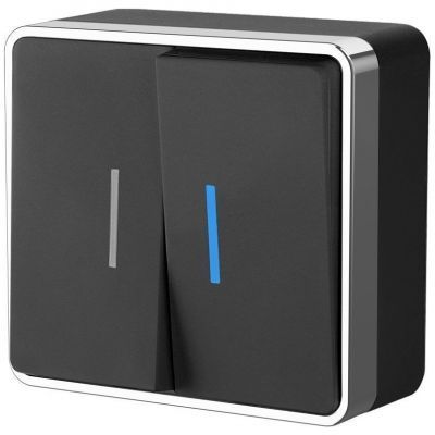 Выключатель двухклавишный с подсветкой Gallant Werkel W5020135 черный с серебром (WL15-03-03)