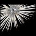 Светильник подвесной ST Luce SL1097.103.09