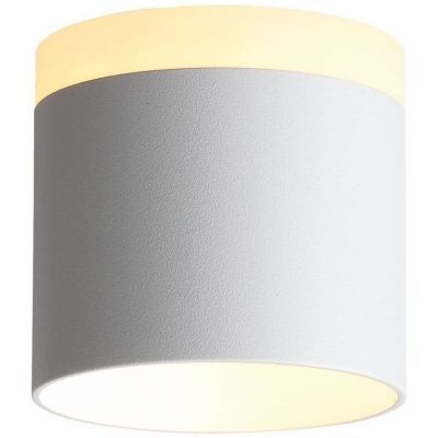 Светильник потолочный ST Luce ST102.502.09