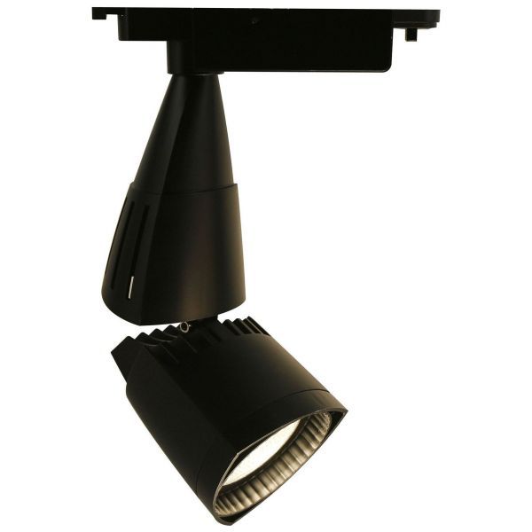 Светильник потолочный Arte Lamp A3830PL-1BK