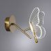Светильник Arte Lamp A2187AP-1GO