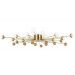 Потолочная люстра Freya Celebrity FR5242CL-24BS