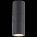 Светильник уличный настенный ST Luce SL074.401.02