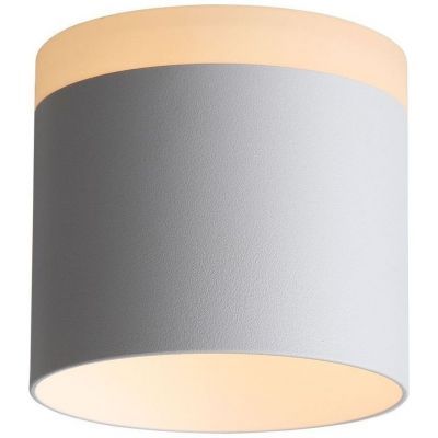 Светильник потолочный ST Luce ST102.502.12