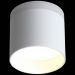 Светильник потолочный ST Luce ST102.502.12