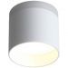 Светильник потолочный ST Luce ST102.502.12