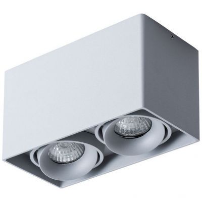 Потолочный светильник Arte Lamp Pictor A5654PL-2GY
