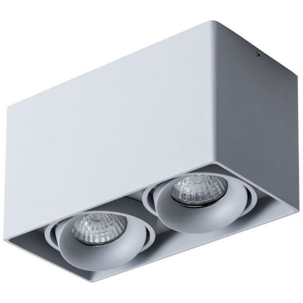 Потолочный светильник Arte Lamp Pictor A5654PL-2GY